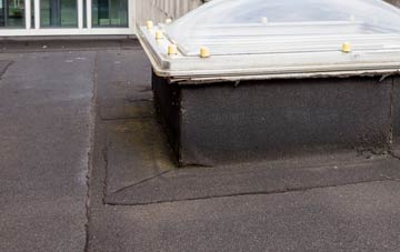 disadvantages of Bonaly flat roofs