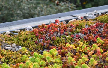 the cost of Bonaly green roof installation
