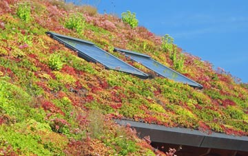 Bonaly living roof systems