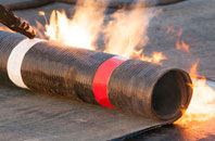 free Bonaly re-felting quotes